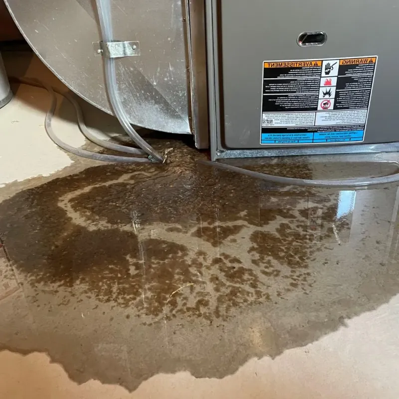Pipe Burst and Leak Restoration in Irondequoit, NY